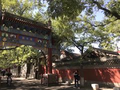 -北京国子监胡同
