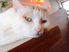 -B.O.M波姆烘焙(凤凰街店)