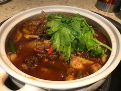 -先机泉水鸡汤(南山老君洞店)