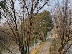 -西溪国家湿地公园