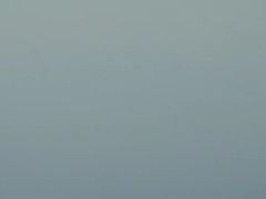-枸杞岛