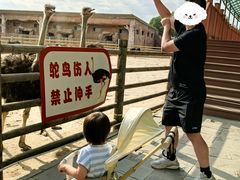 -鄂尔多斯野生动物园