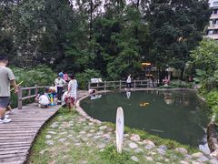 -成都市活水公园