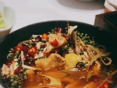 椒麻土鸡-小厨娘淮扬菜(清江苏宁广场店)
