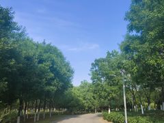 -永定河休闲森林公园