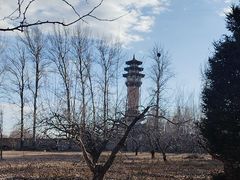 -廊坊市自然公园
