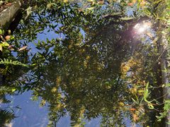 -仙店农庄(湖景农庄餐厅)