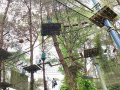 -芦仙山景区-飞越丛林探险乐园