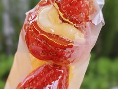 -栗子侠奶皮子糖葫芦(长宁店)