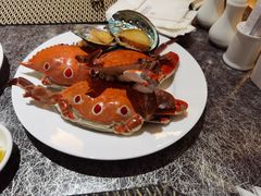 -圣廷苑酒店·廷韵咖啡厅(深圳中洲圣廷苑酒店)