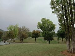 -盘龙城国家考古遗址公园