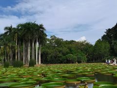 -中国科学院西双版纳热带植物园