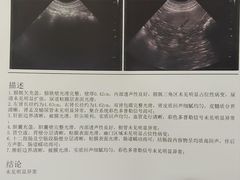 -宠爱国际动物医院·消化内科·心肾内科·ISFM猫友好(望京店)