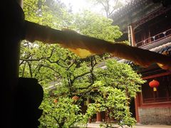 -玉兰茶楼