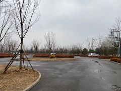 -东郊湿地公园
