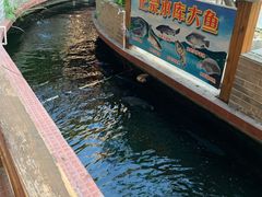 -侠成水上农庄(工业大道店)