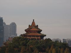 -顺峰山公园