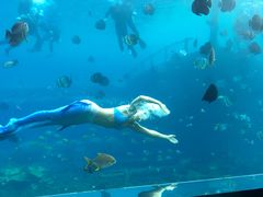 -瑞德姆美人鱼海底演艺主题餐厅(亚龙湾店)