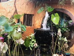 -园林美食城·本土农家菜(杨和镇店)