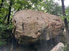 -大岭沟猕猴桃谷风景区
