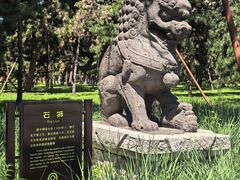 -北陵公园