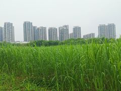 -汉江湾体育公园