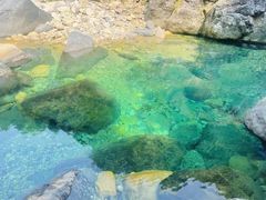 -石台牯牛降景区