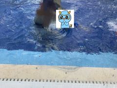 -龙格亲子游泳俱乐部(常熟中心店)