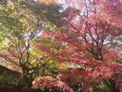 -常寂光寺