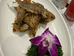 -金米箩大酒店(五角场店)