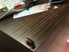 -广州花都皇冠假日酒店