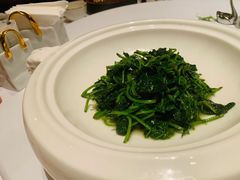 -西郊5号·Maggie 5