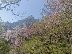 -崂山巨峰游览区