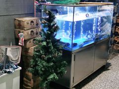 水产区-本炙炭烤·蒲烧活鳗料理店(金沙洲店)