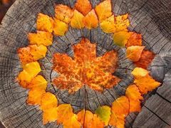 -老娘舅(吴山路店)