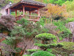 -南山植物园