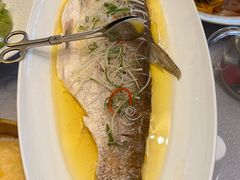 -便宜坊烤鸭店(科创店)