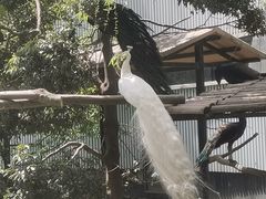 -成都动物园