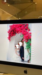 -金夫人婚纱摄影(华南店)