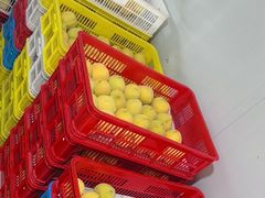 -樂桃源奉贤黄桃种植采摘基地