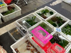 -苏州市皮市街花鸟工艺品市场