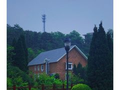 -棒棰岛宾馆景区