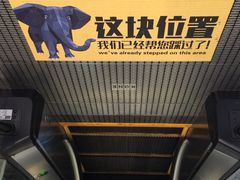 麦当劳(常营店)-麦当劳(朝阳北路店)