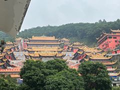 -东莞市大岭山森林公园