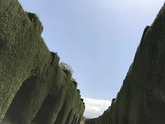 -阿尔罕布拉宫
