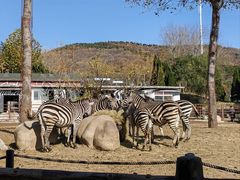 -大连森林动物园