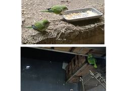 -红山森林动物园