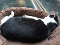 -猫的天空之城概念书店(杭州南宋御街店)