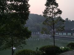 -铁山坪森林公园