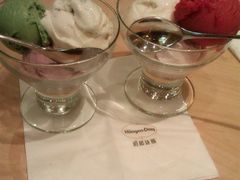 冰淇淋球-哈根达斯(钟楼新店)